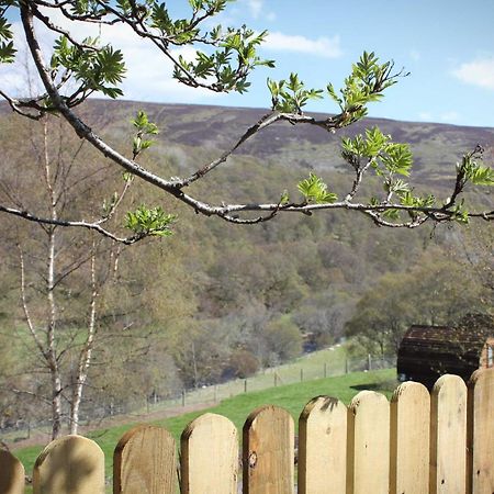 Howe Of Torbeg Ballater Dış mekan fotoğraf