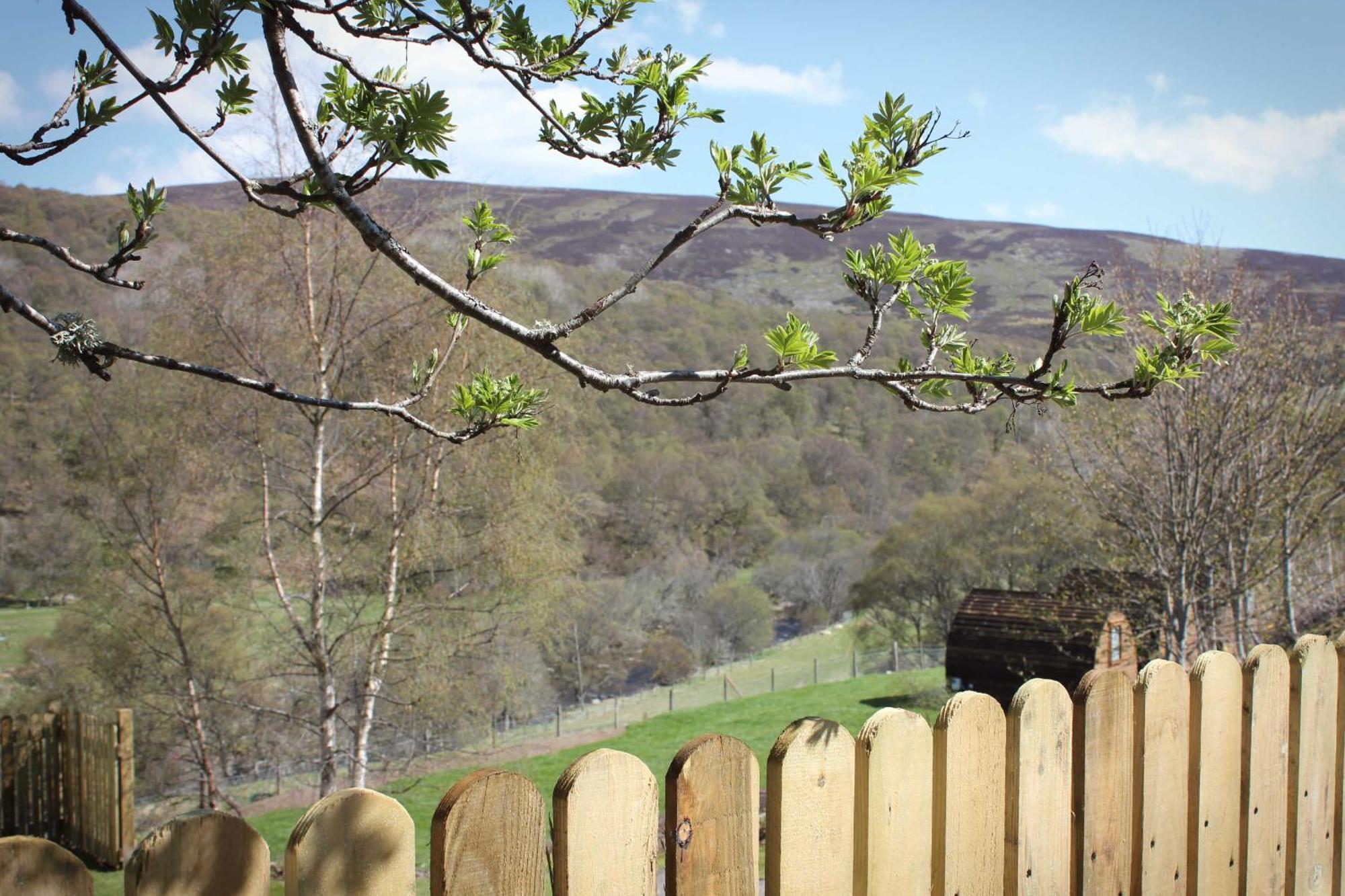 Howe Of Torbeg Ballater Dış mekan fotoğraf