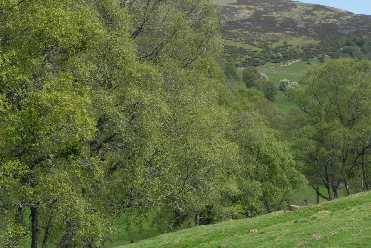 Howe Of Torbeg Ballater Dış mekan fotoğraf